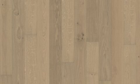 Oak Nouveau White